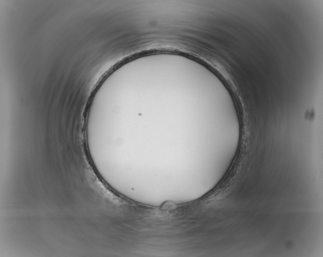 X0000110930799200907091519