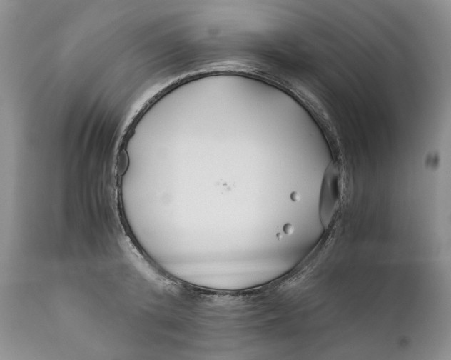 X0000110930800200907091519