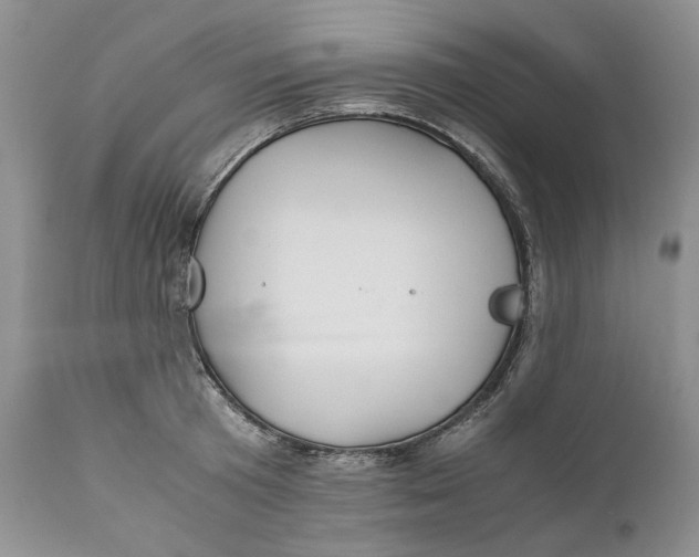X0000110930801200907091519