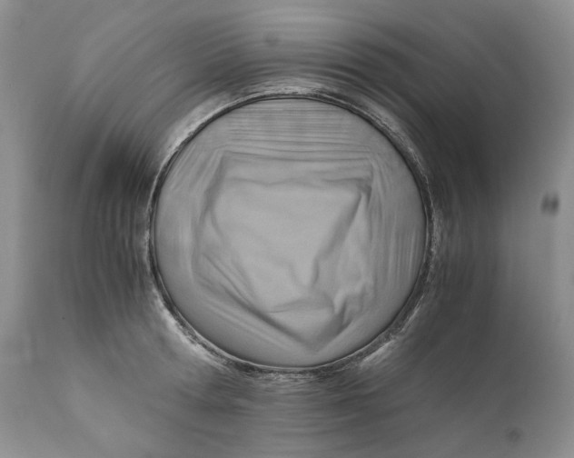 X0000110930802200907091519
