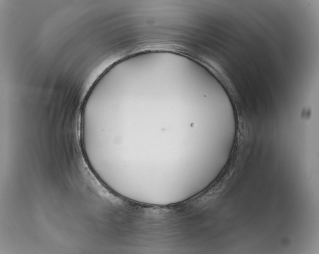 X0000110930804200907091519