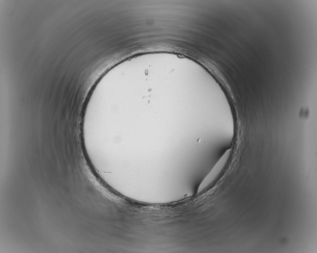 X0000110930805200907091519