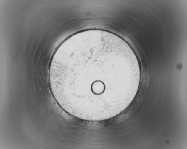 X0000110930807200907091519