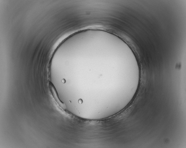X0000110930808200907091519