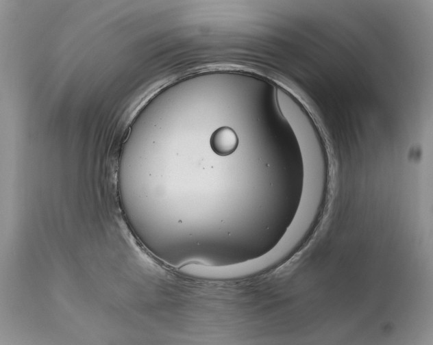 X0000110930809200907091519