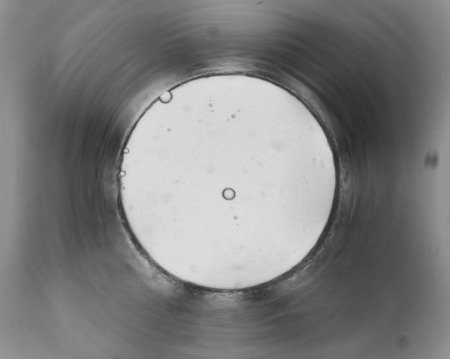 X0000110930810200907091519
