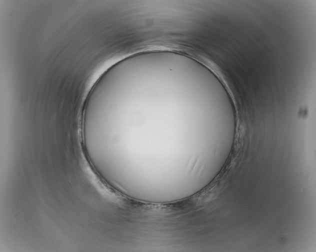 X0000110930811200907091519