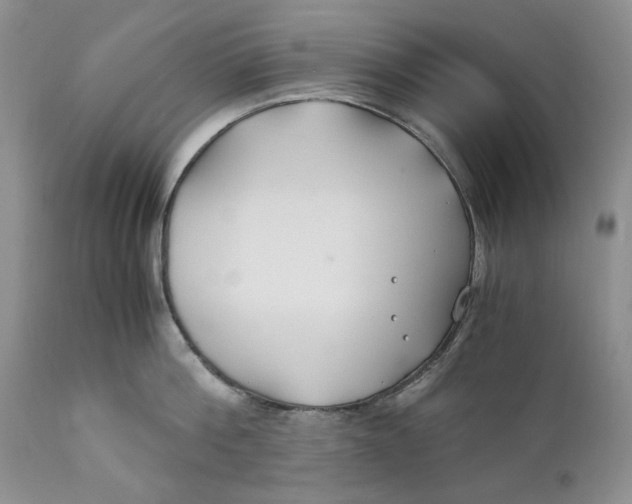 X0000110930812200907091519