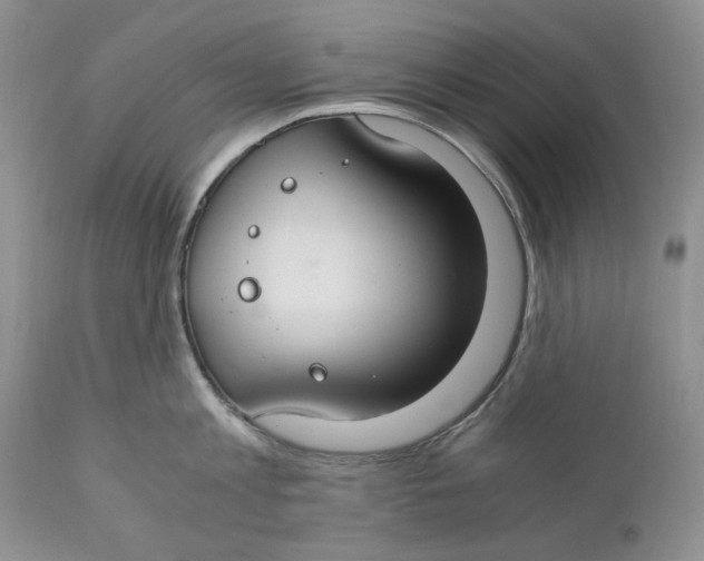 X0000110930813200907091519