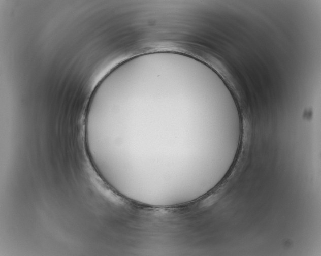 X0000110930814200907091519
