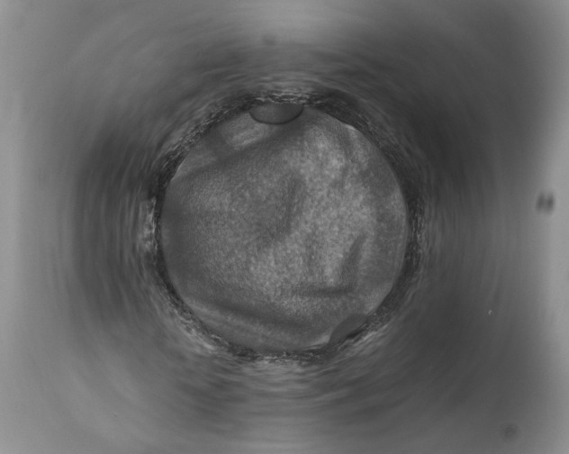 X0000110930818200907091518