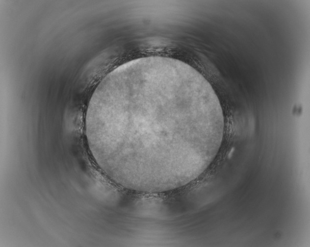X0000110930820200907091518