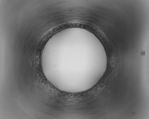 X0000110930821200907091518