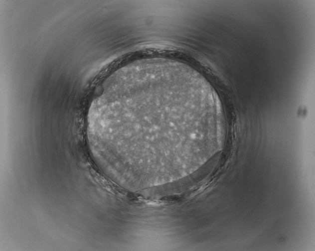 X0000110930822200907091518