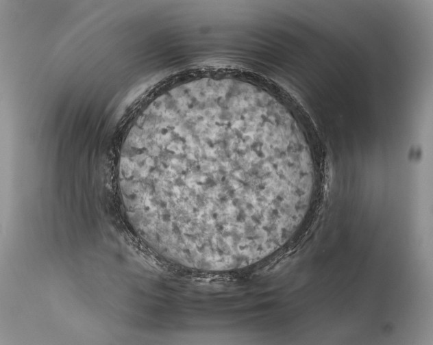 X0000110930823200907091518