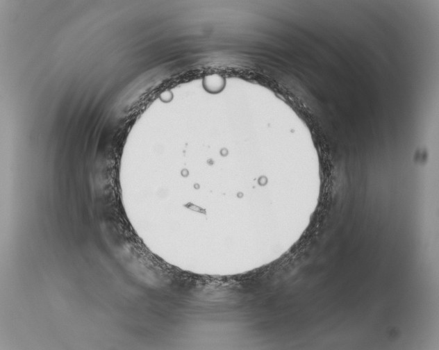 X0000110930824200907091518