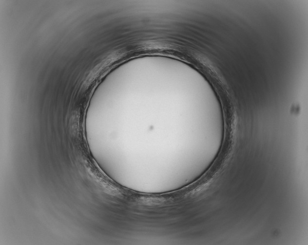 X0000110930825200907091518