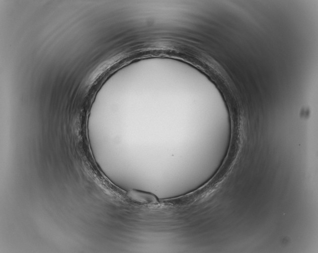 X0000110930826200907091518