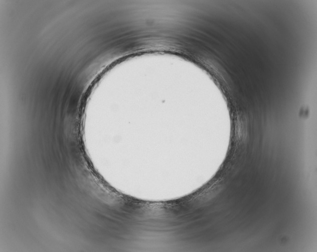 X0000110930828200907091518