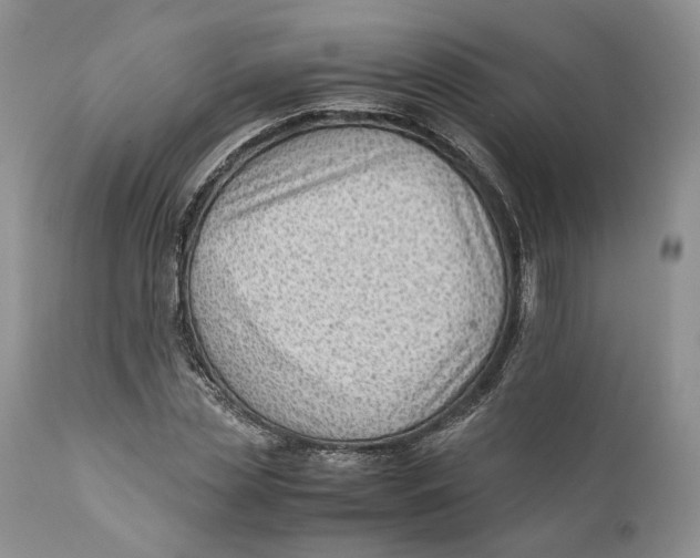 X0000110930829200907091518