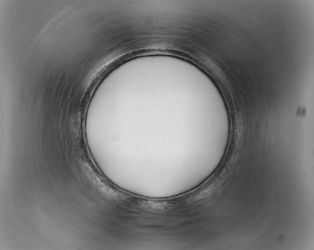 X0000110930831200907091518