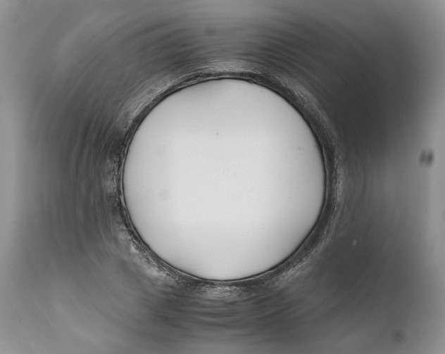 X0000110930833200907091518
