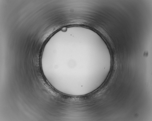 X0000110930834200907091518