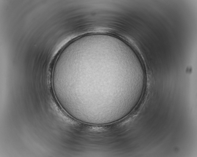 X0000110930835200907091518