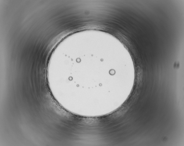 X0000110930836200907091518