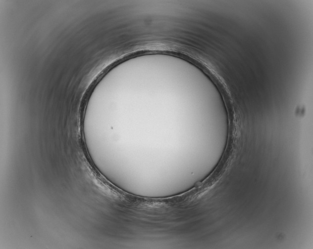 X0000110930837200907091518