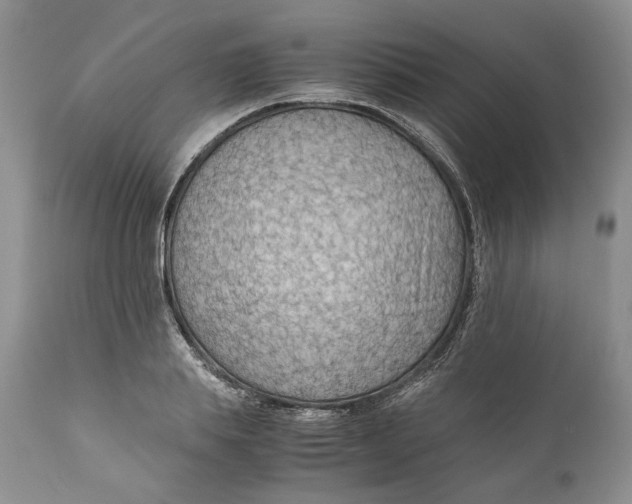 X0000110930839200907091518
