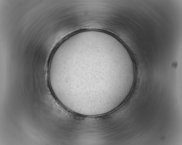 X0000110930840200907091518