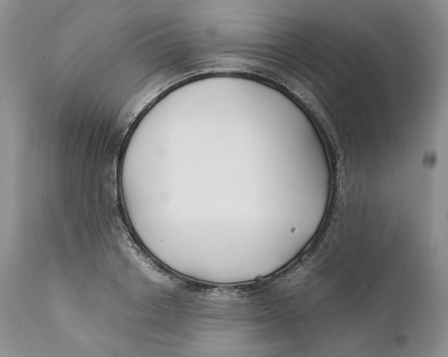 X0000110930842200907091518