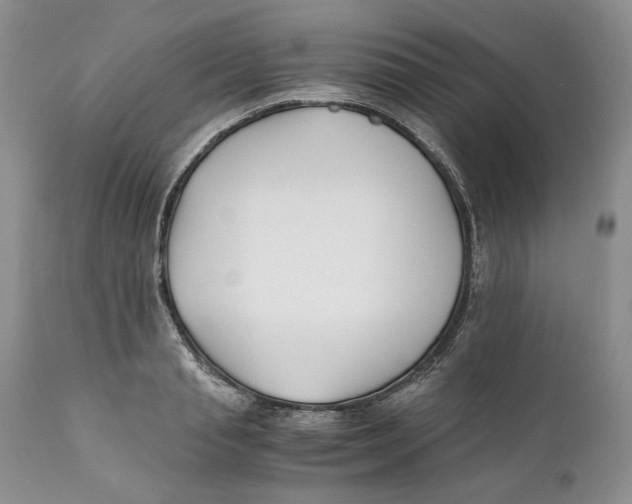 X0000110930845200907091518