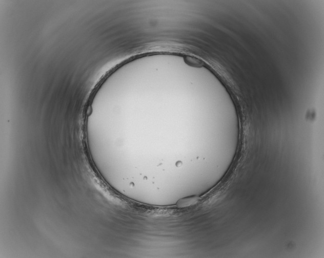 X0000110930846200907091518