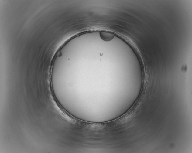 X0000110930847200907091518
