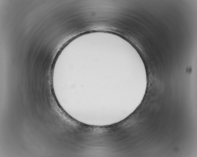 X0000110930848200907091518