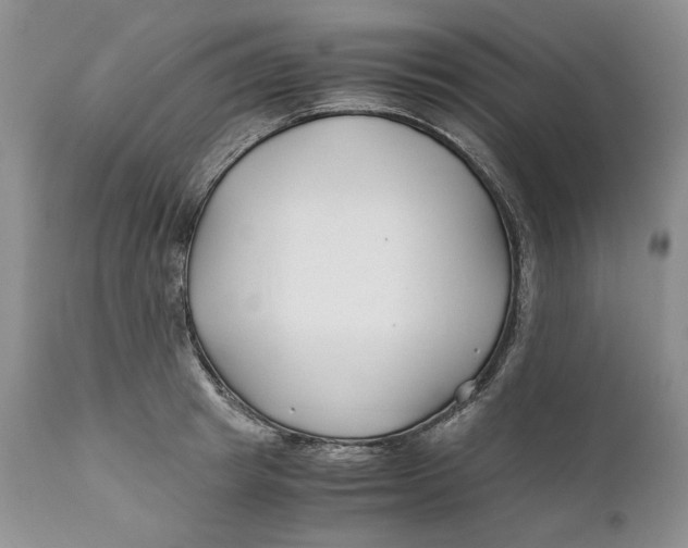 X0000110930849200907091518