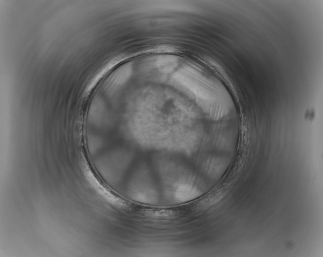 X0000110930851200907091518