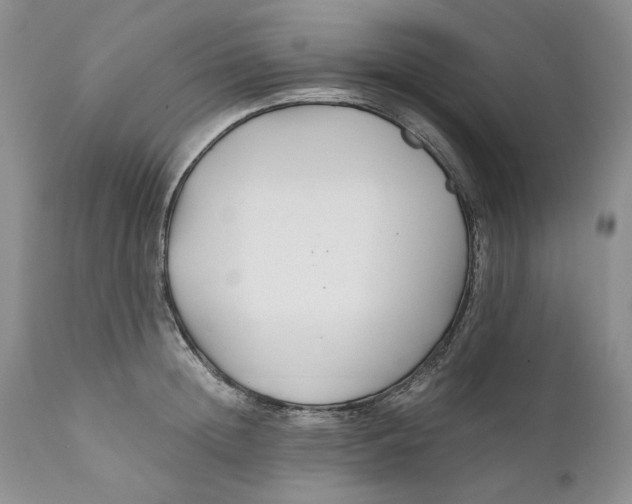 X0000110930852200907091518