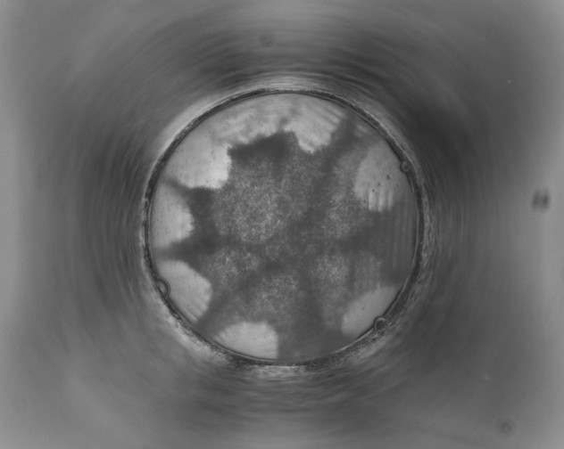 X0000110930853200907091518