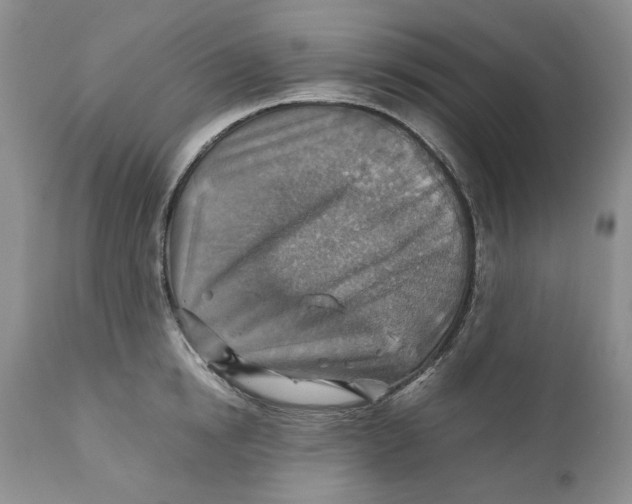 X0000110930854200907091518