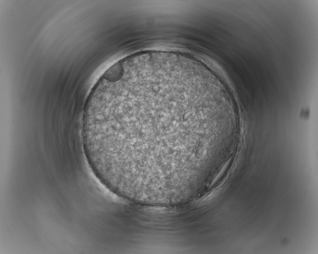 X0000110930855200907091518