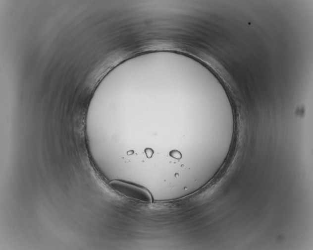 X0000110930857200907091518