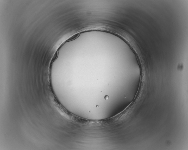 X0000110930858200907091518