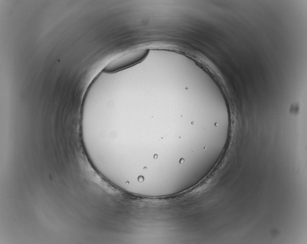 X0000110930860200907091519
