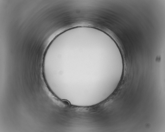 X0000110930861200907091519