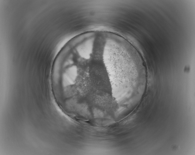 X0000110930863200907091519