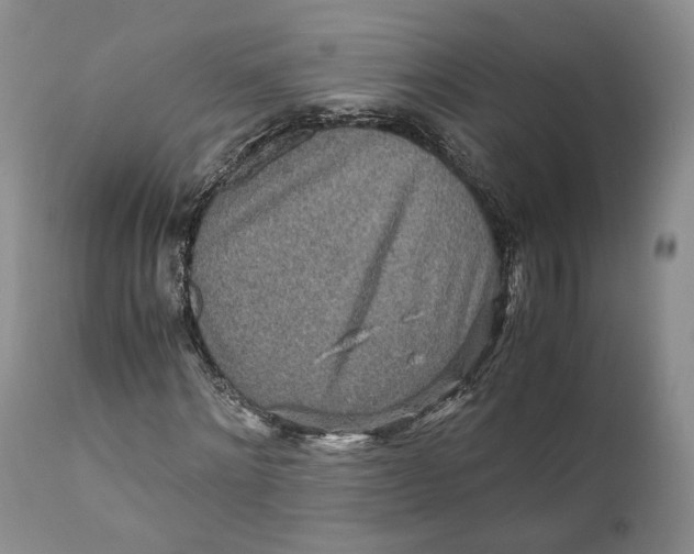 X0000110930868200907091518