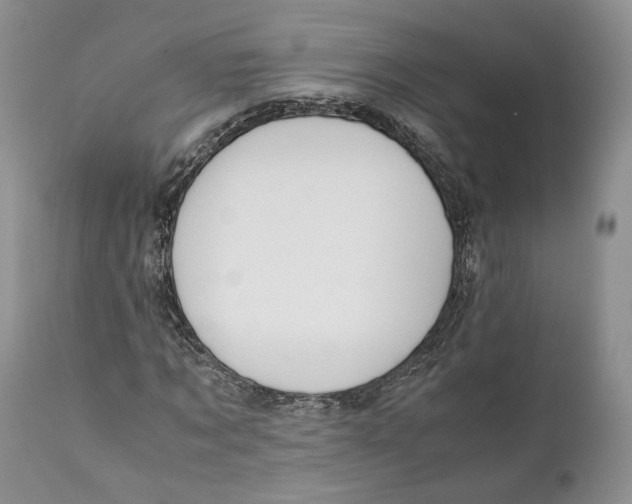 X0000110930869200907091518